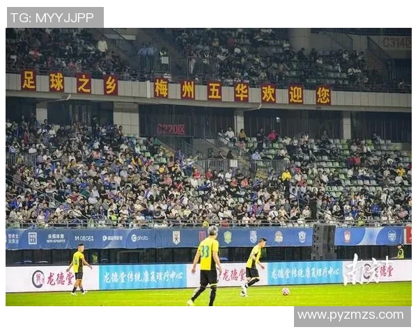 苏姓足球明星的辉煌历程与成就解析