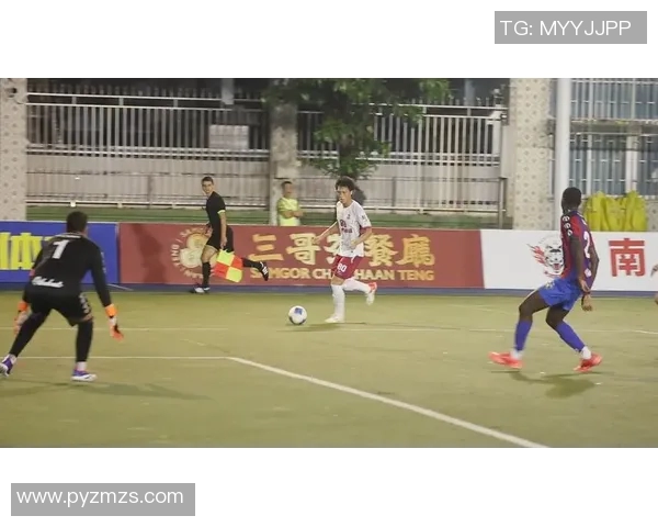 世界足球明星进球瞬间的精彩姿势与技巧解析