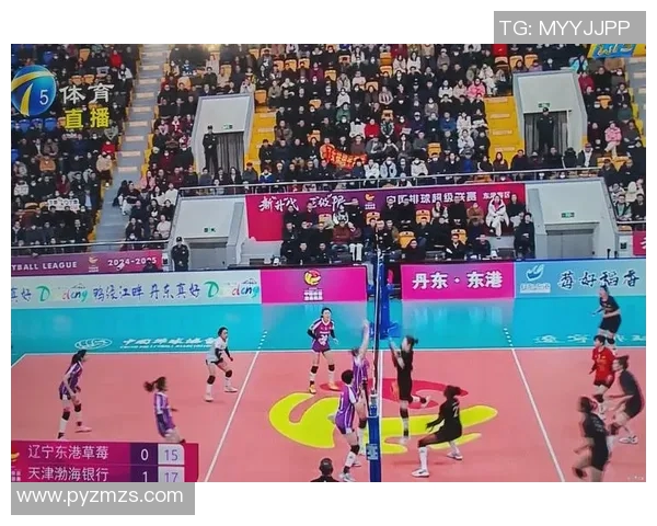 南京排球队在邀请赛中的精彩表现与实力分析