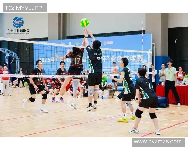 广州排球队团队协作变革引发热议展现新风貌与竞技精神