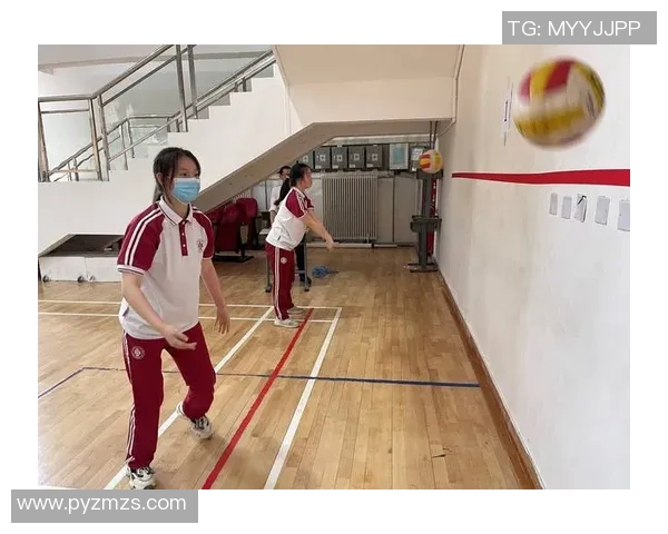 西安排球队的力量分析与排球战术的深度探讨