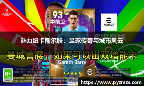 魅力纽卡斯尔联：足球传奇与城市风云