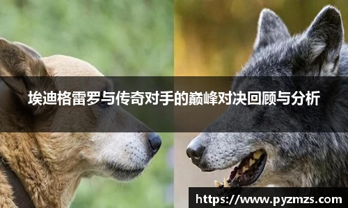 埃迪格雷罗与传奇对手的巅峰对决回顾与分析