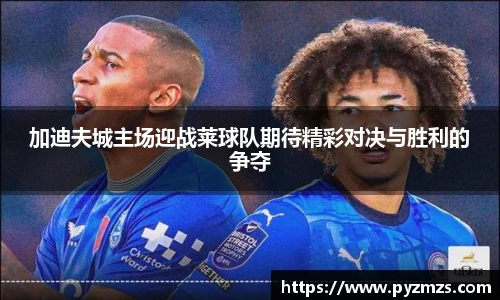加迪夫城主场迎战莱球队期待精彩对决与胜利的争夺